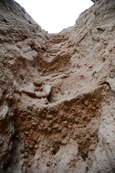 DSC_0274 (Large).JPG